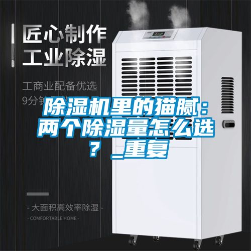 除濕機里的貓膩：兩個除濕量怎么選？_重復