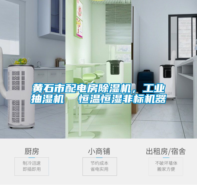 黃石市配電房除濕機，工業抽濕機  恒溫恒濕非標機器