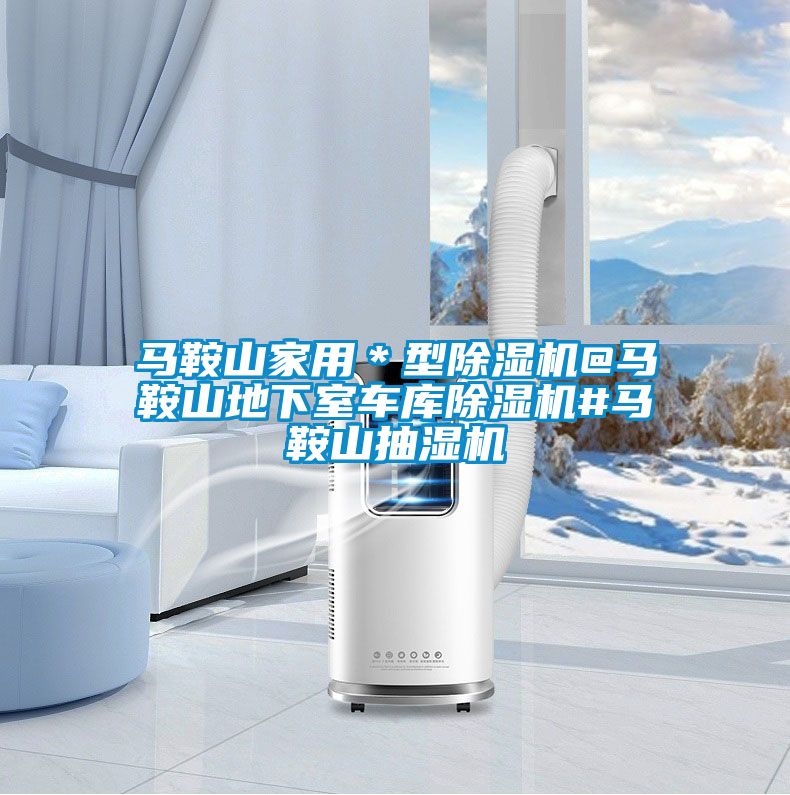 馬鞍山家用*型除濕機@馬鞍山地下室車庫除濕機#馬鞍山抽濕機
