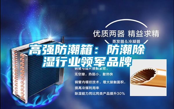 高強防潮箱:防潮除濕行業領軍品牌