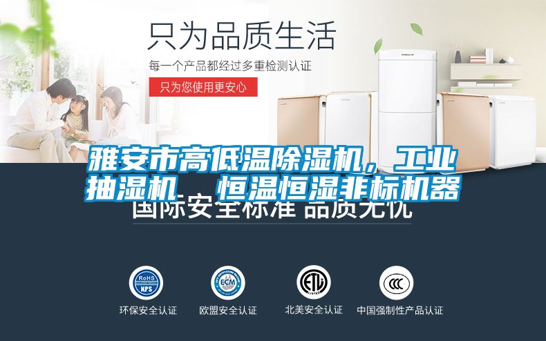 雅安市高低溫除濕機,工業抽濕機 恒溫恒濕非標機器