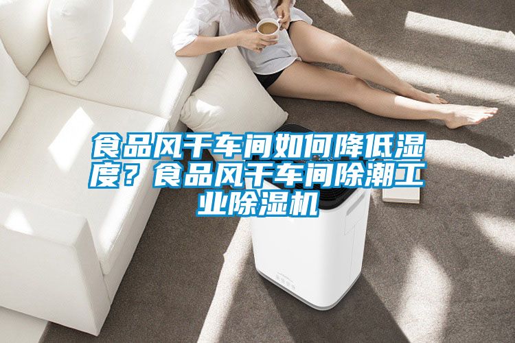 食品風干車間如何降低濕度?食品風干車間除潮工業(yè)除濕機